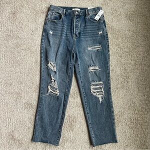 PacSun High Rise Straight jeans Distressed size 30